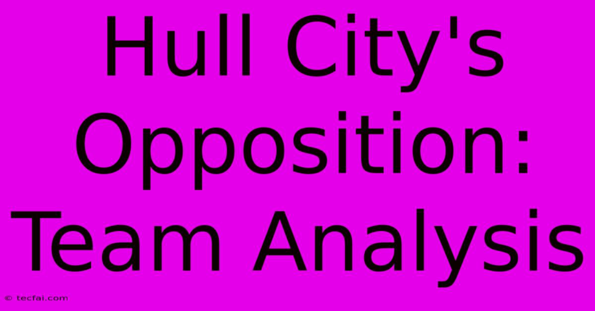 Hull City's Opposition: Team Analysis