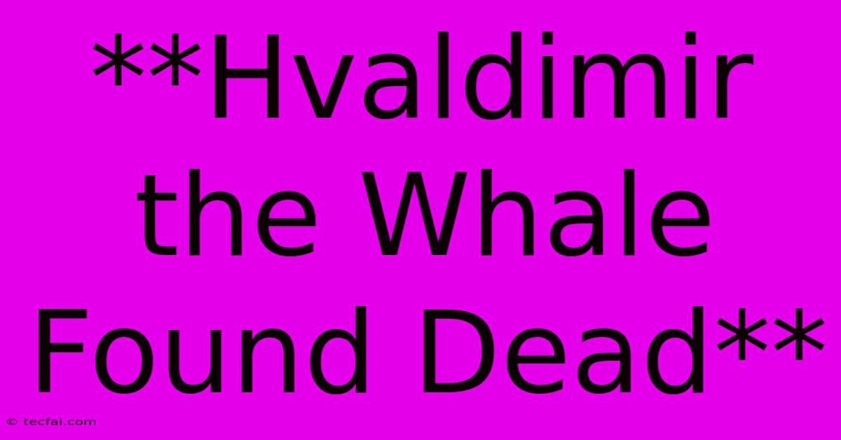 **Hvaldimir The Whale Found Dead**