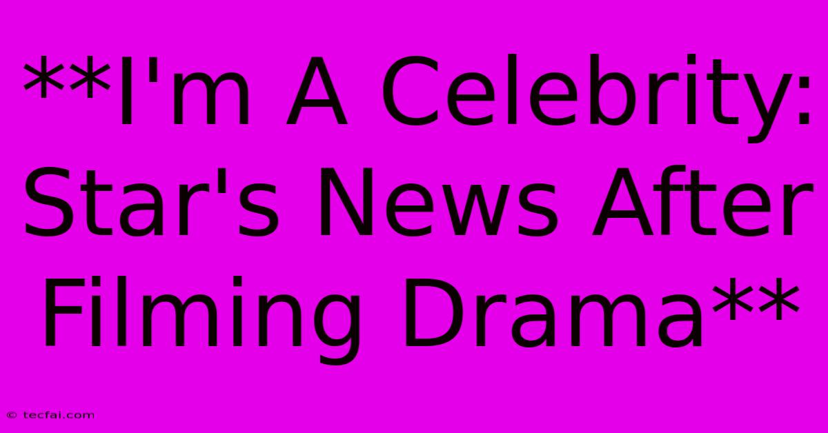 **I'm A Celebrity: Star's News After Filming Drama**