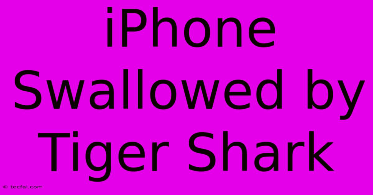 IPhone Swallowed By Tiger Shark