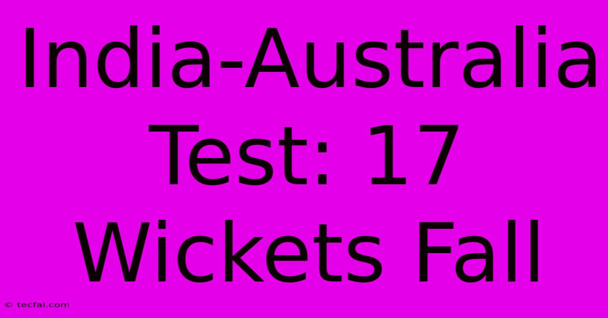 India-Australia Test: 17 Wickets Fall