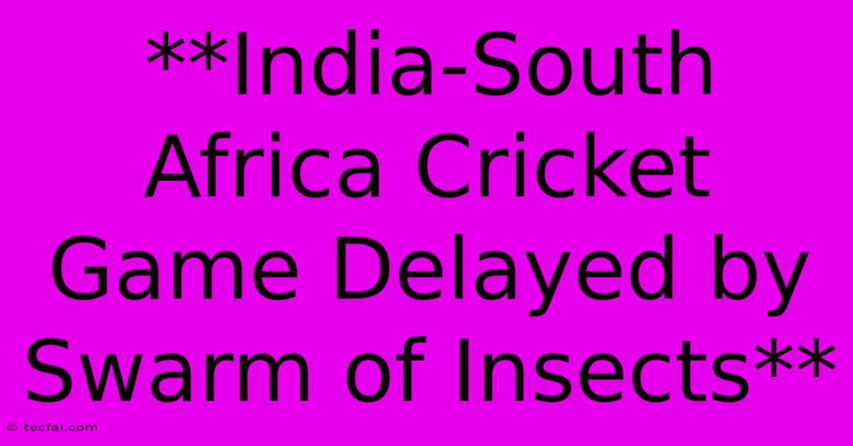 **India-South Africa Cricket Game Delayed By Swarm Of Insects**