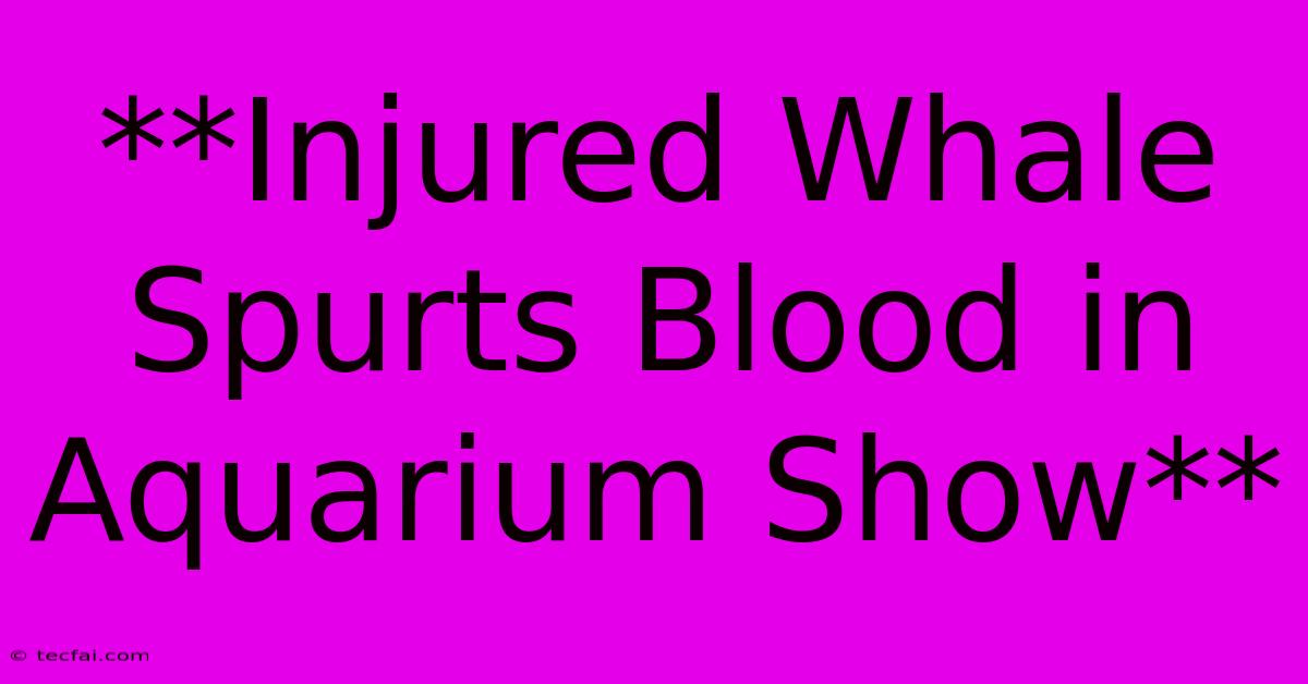 **Injured Whale Spurts Blood In Aquarium Show**