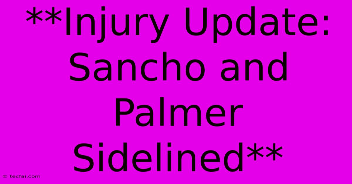 **Injury Update: Sancho And Palmer Sidelined**