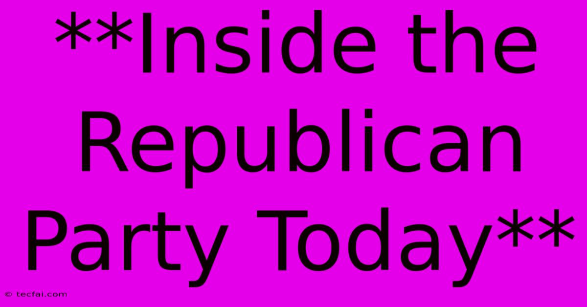 **Inside The Republican Party Today** 