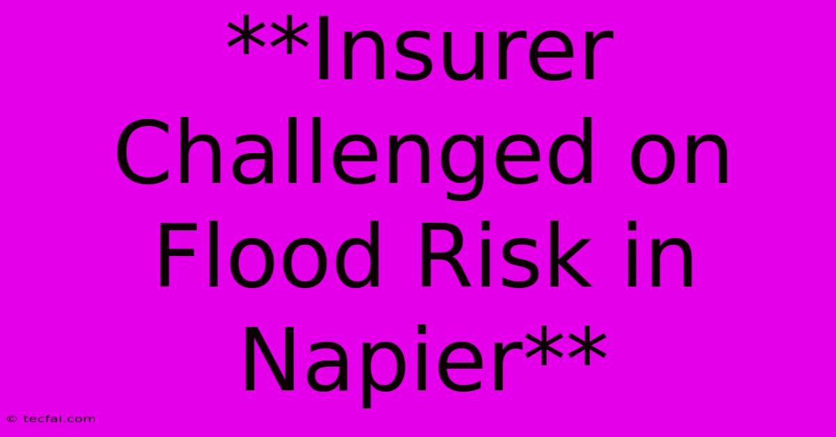 **Insurer Challenged On Flood Risk In Napier**