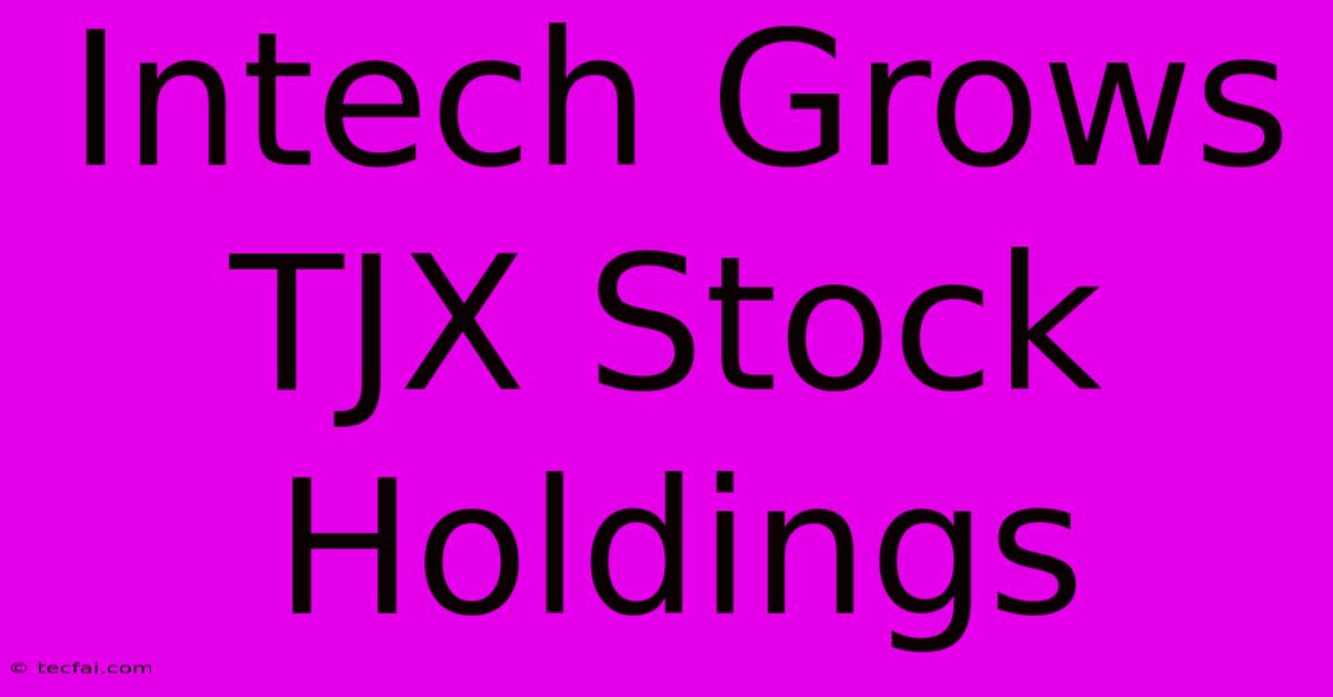 Intech Grows TJX Stock Holdings