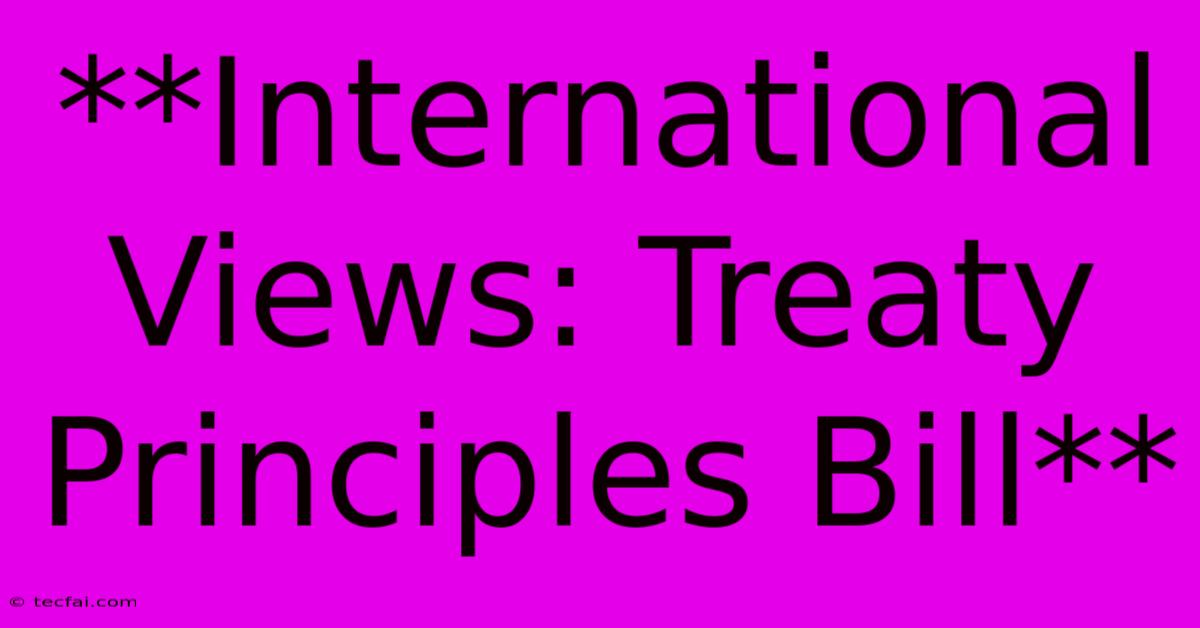 **International Views: Treaty Principles Bill**