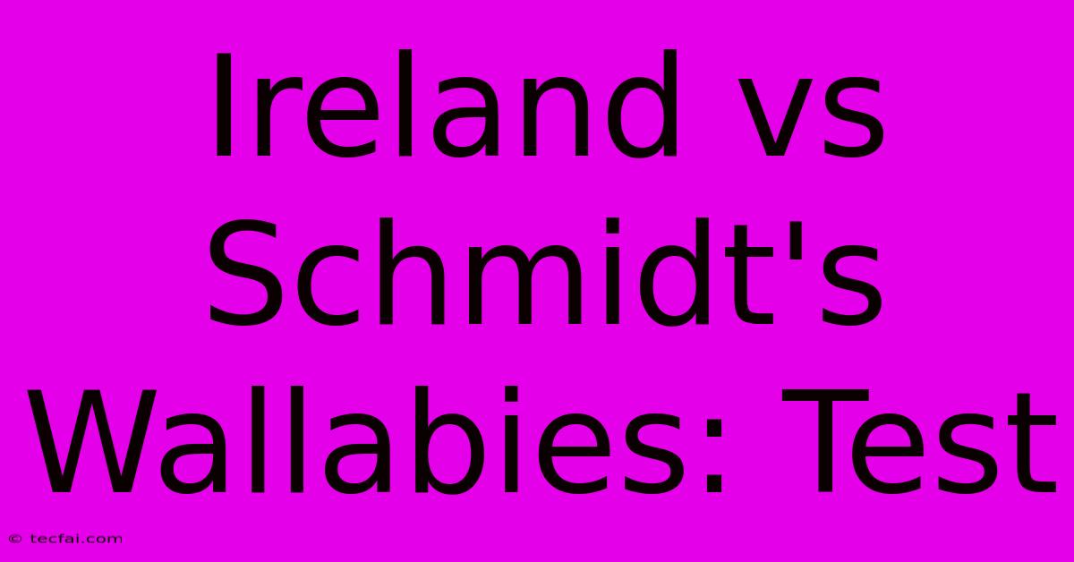 Ireland Vs Schmidt's Wallabies: Test