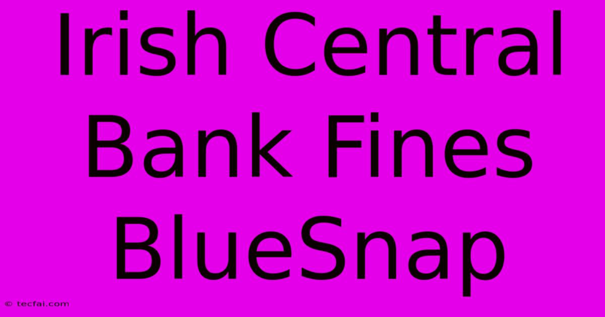 Irish Central Bank Fines BlueSnap