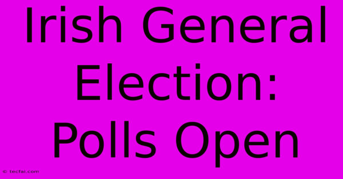 Irish General Election: Polls Open