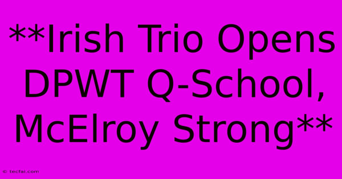 **Irish Trio Opens DPWT Q-School, McElroy Strong**