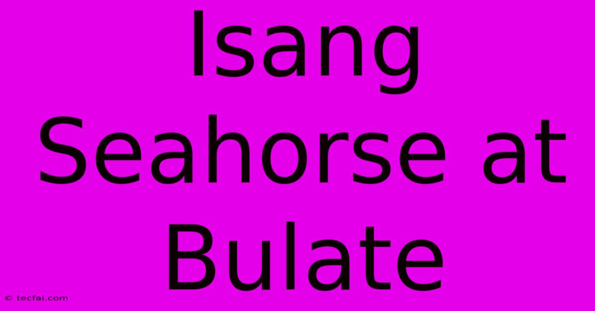 Isang Seahorse At Bulate