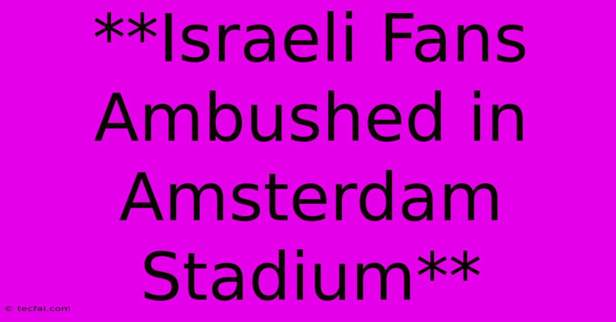 **Israeli Fans Ambushed In Amsterdam Stadium**