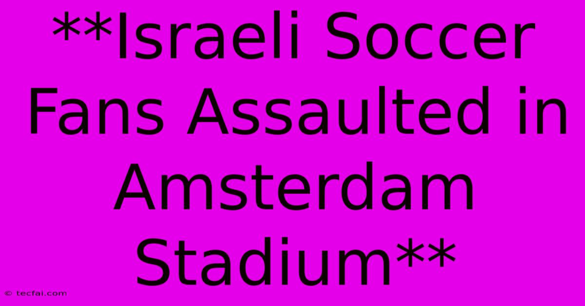 **Israeli Soccer Fans Assaulted In Amsterdam Stadium**