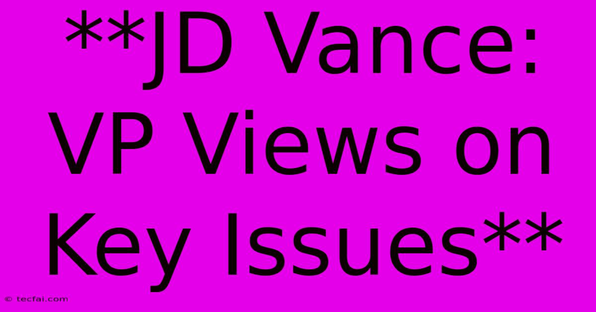 **JD Vance: VP Views On Key Issues**