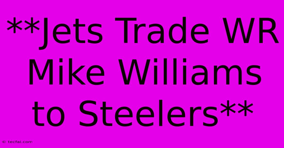 **Jets Trade WR Mike Williams To Steelers**