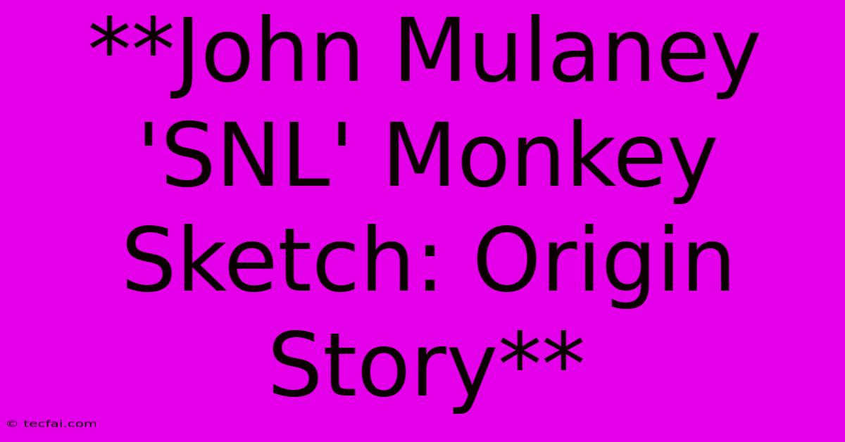 **John Mulaney 'SNL' Monkey Sketch: Origin Story**