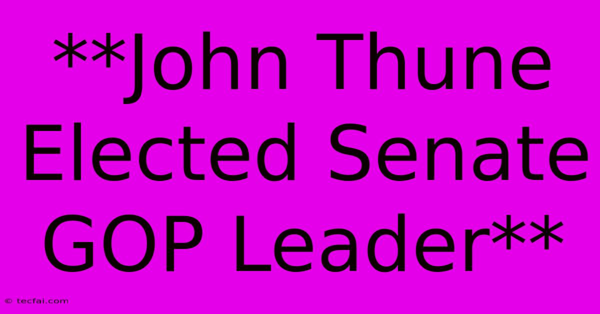 **John Thune Elected Senate GOP Leader**