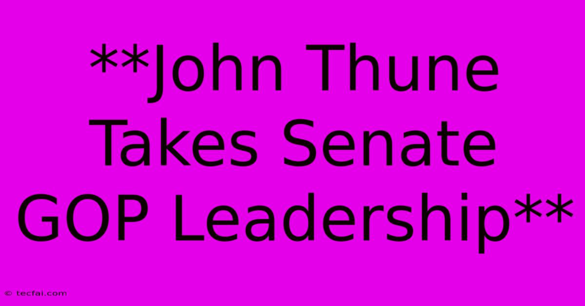 **John Thune Takes Senate GOP Leadership**