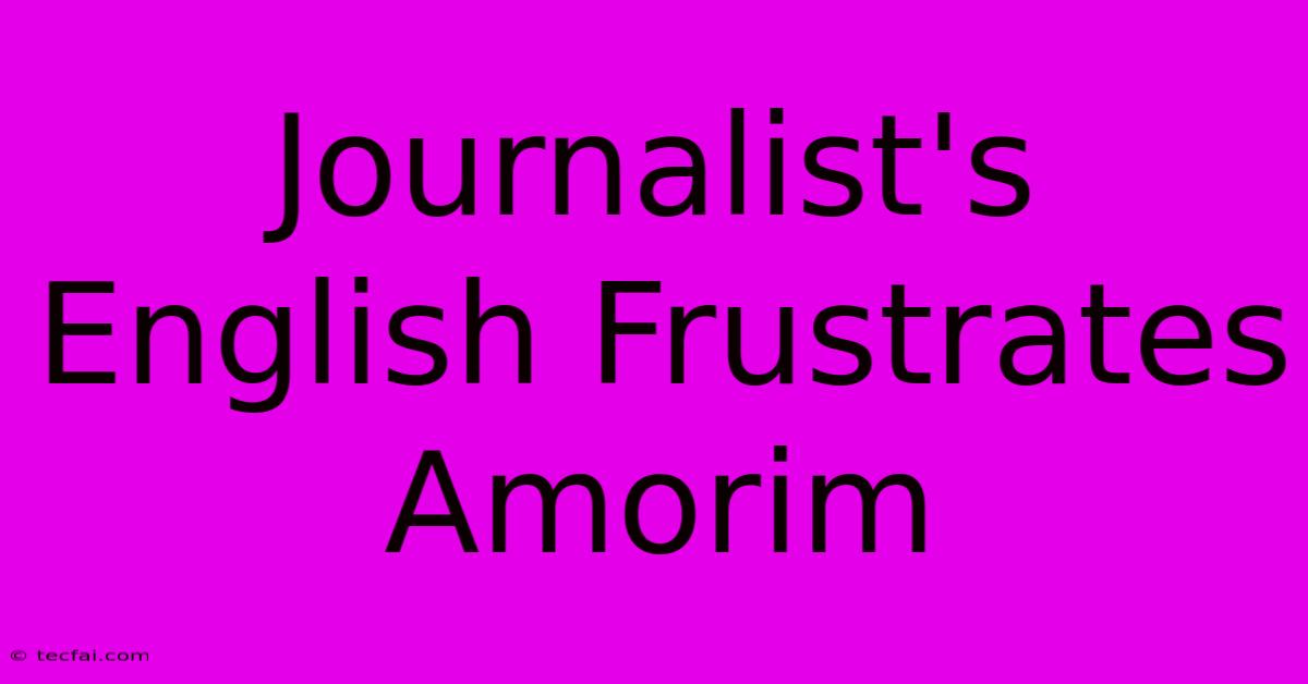 Journalist's English Frustrates Amorim