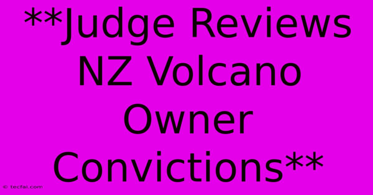 **Judge Reviews NZ Volcano Owner Convictions**