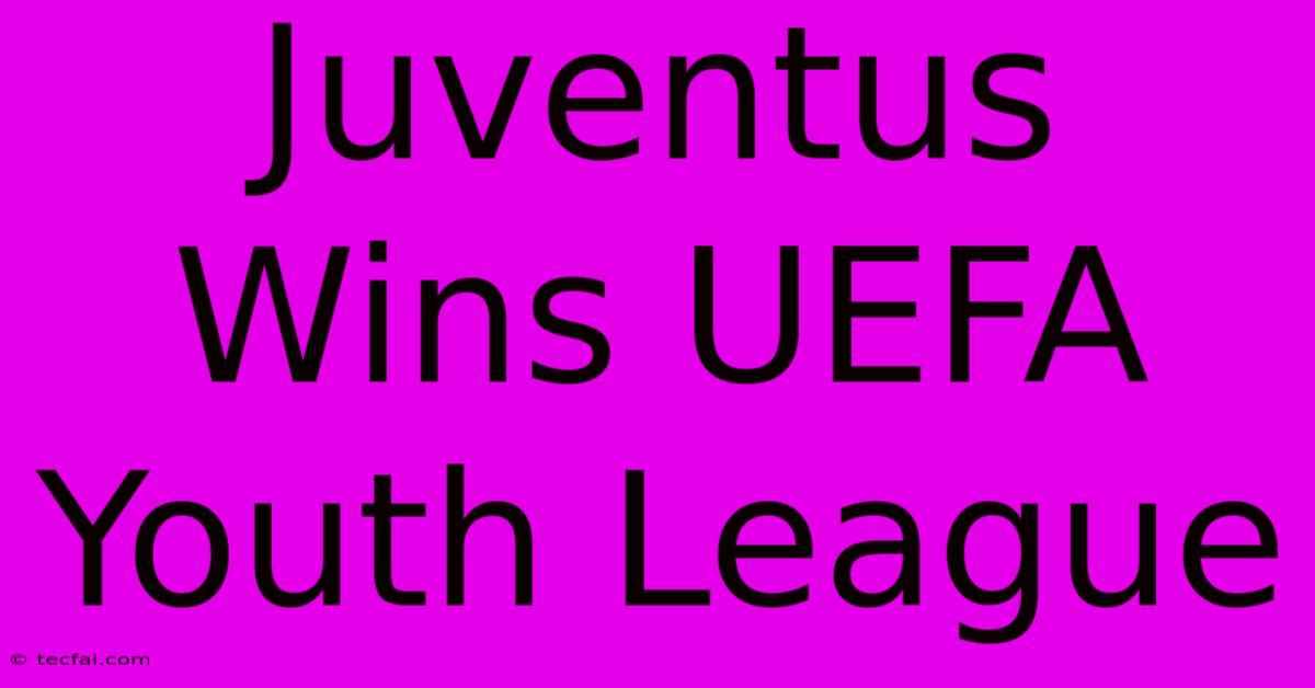 Juventus Wins UEFA Youth League