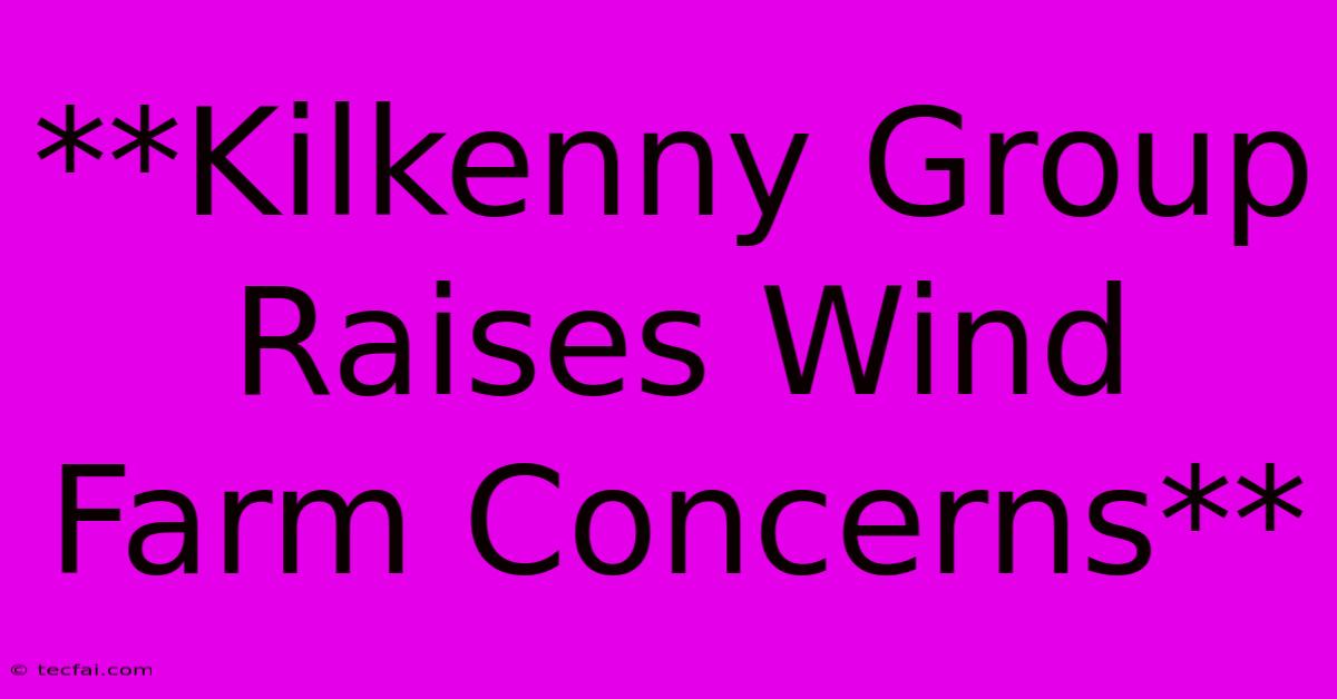 **Kilkenny Group Raises Wind Farm Concerns**