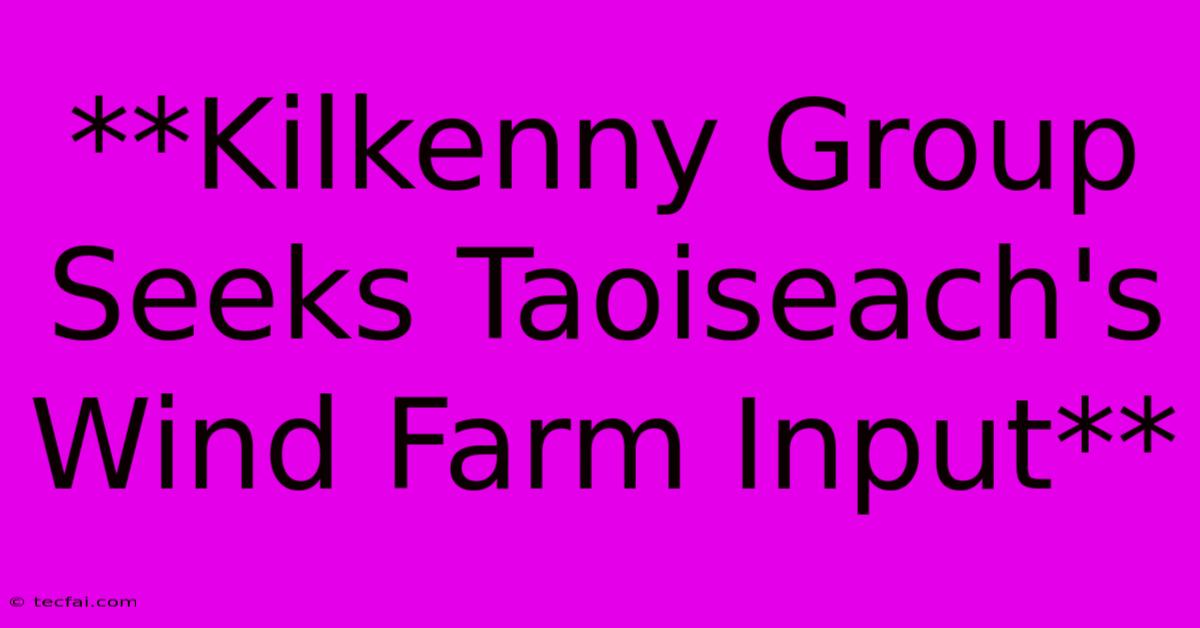 **Kilkenny Group Seeks Taoiseach's Wind Farm Input** 