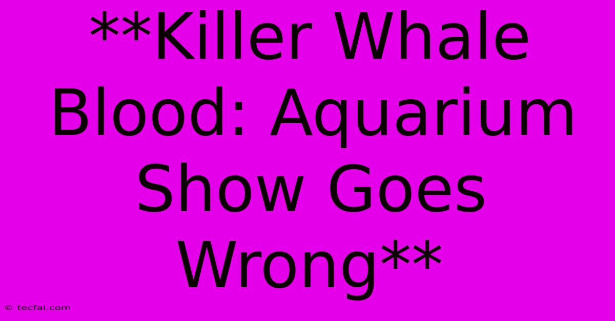 **Killer Whale Blood: Aquarium Show Goes Wrong**