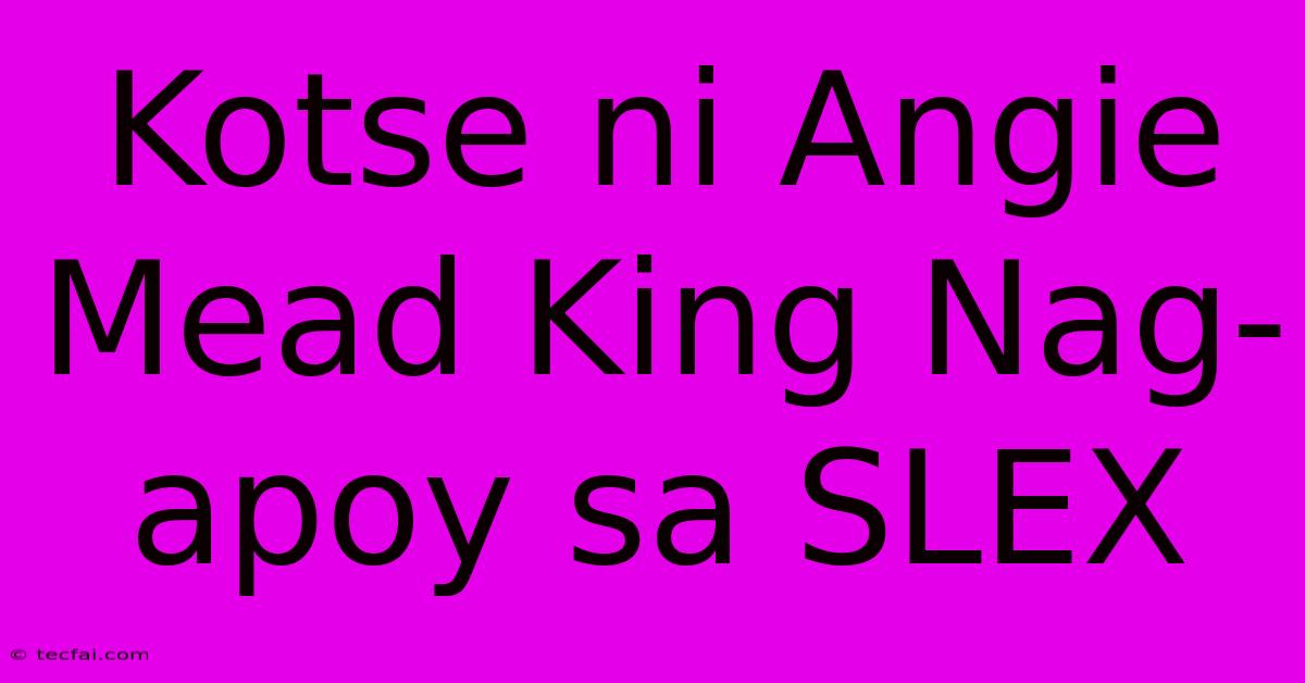 Kotse Ni Angie Mead King Nag-apoy Sa SLEX