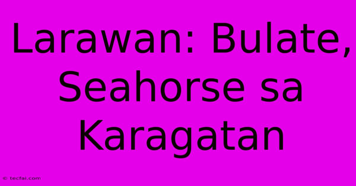 Larawan: Bulate, Seahorse Sa Karagatan