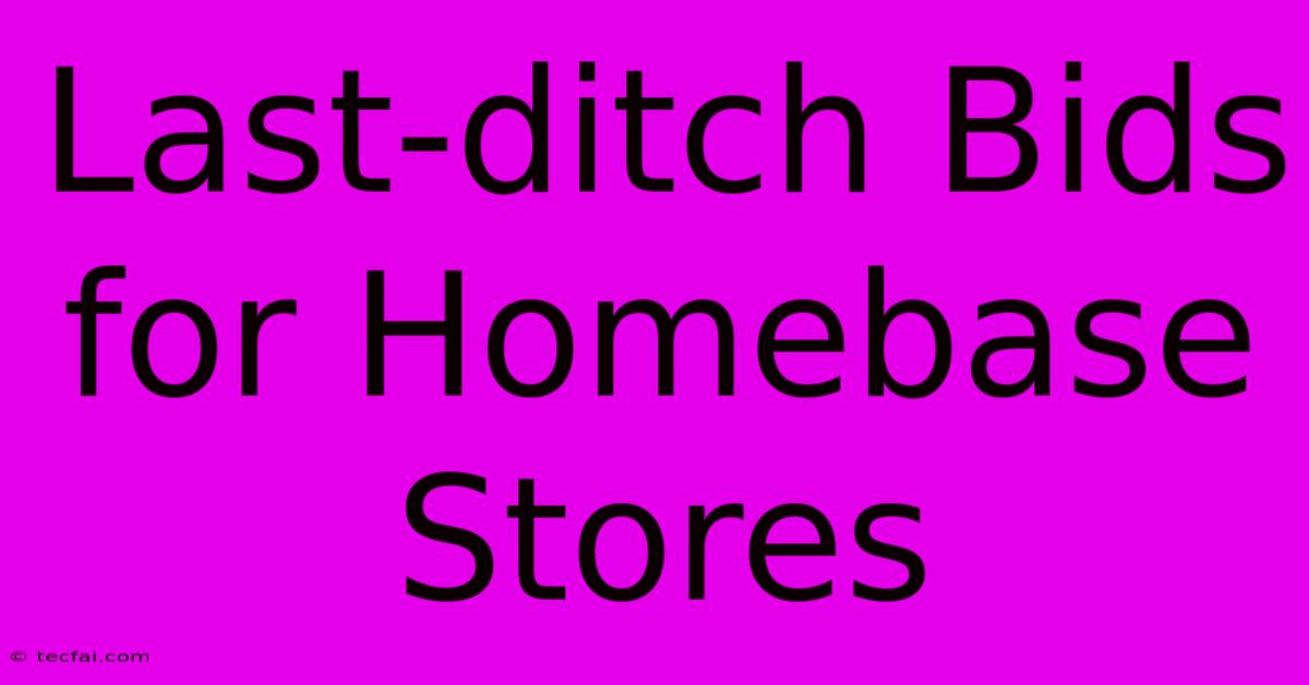 Last-ditch Bids For Homebase Stores