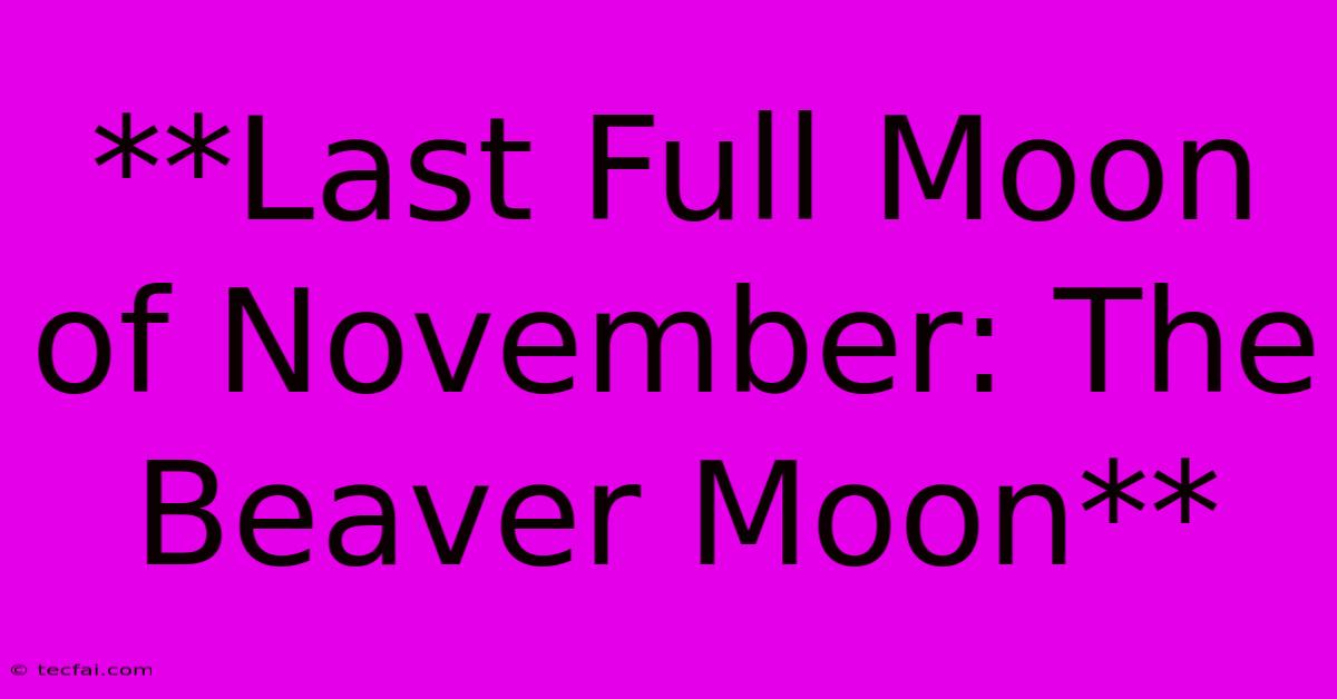 **Last Full Moon Of November: The Beaver Moon**