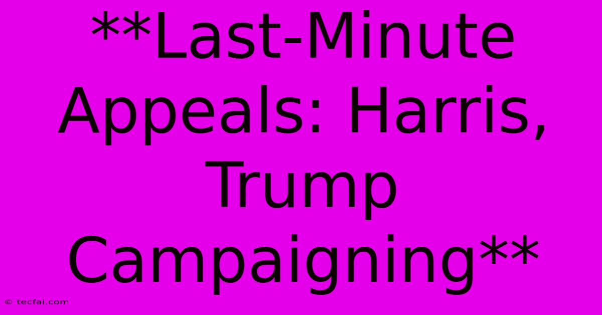 **Last-Minute Appeals: Harris, Trump Campaigning** 