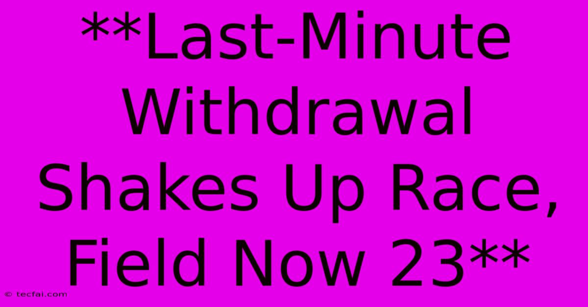 **Last-Minute Withdrawal Shakes Up Race, Field Now 23**