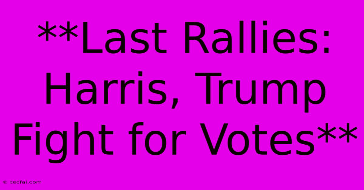 **Last Rallies: Harris, Trump Fight For Votes**