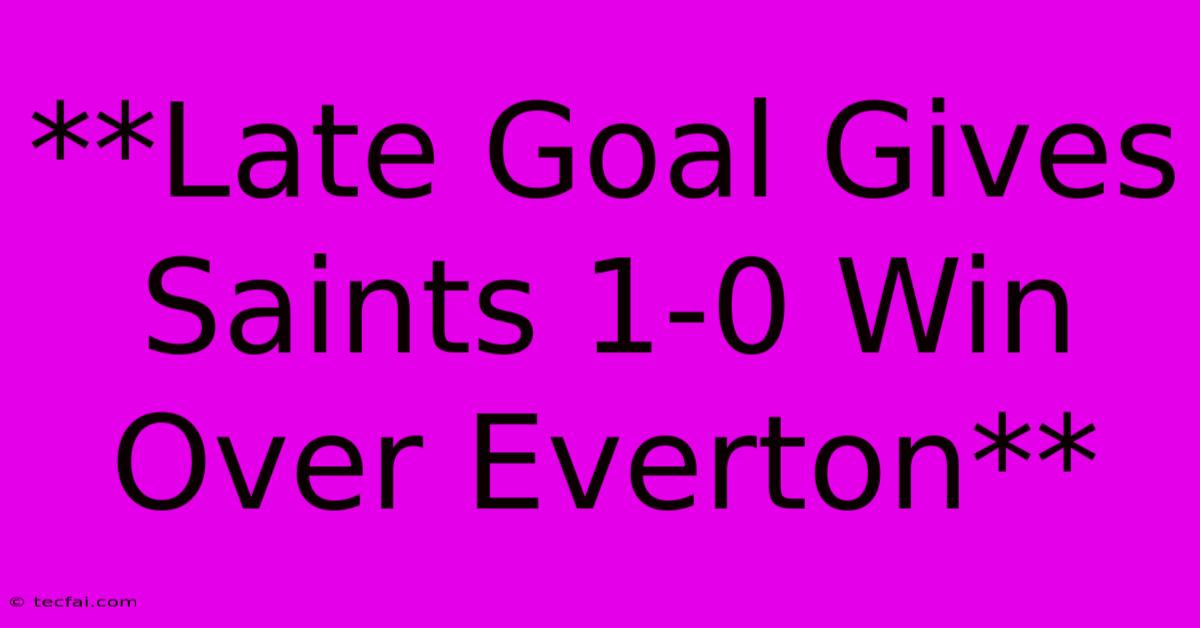 **Late Goal Gives Saints 1-0 Win Over Everton**