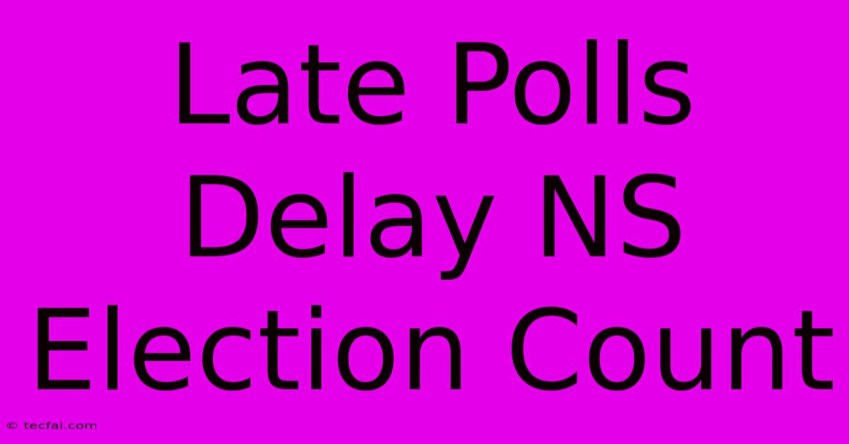 Late Polls Delay NS Election Count