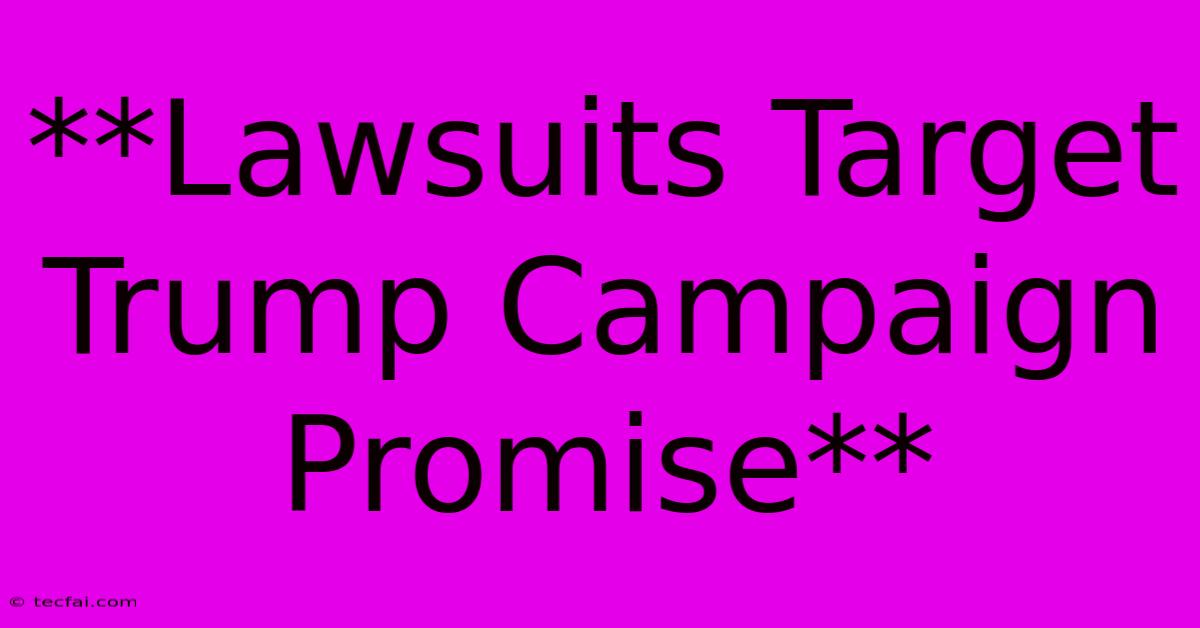 **Lawsuits Target Trump Campaign Promise**