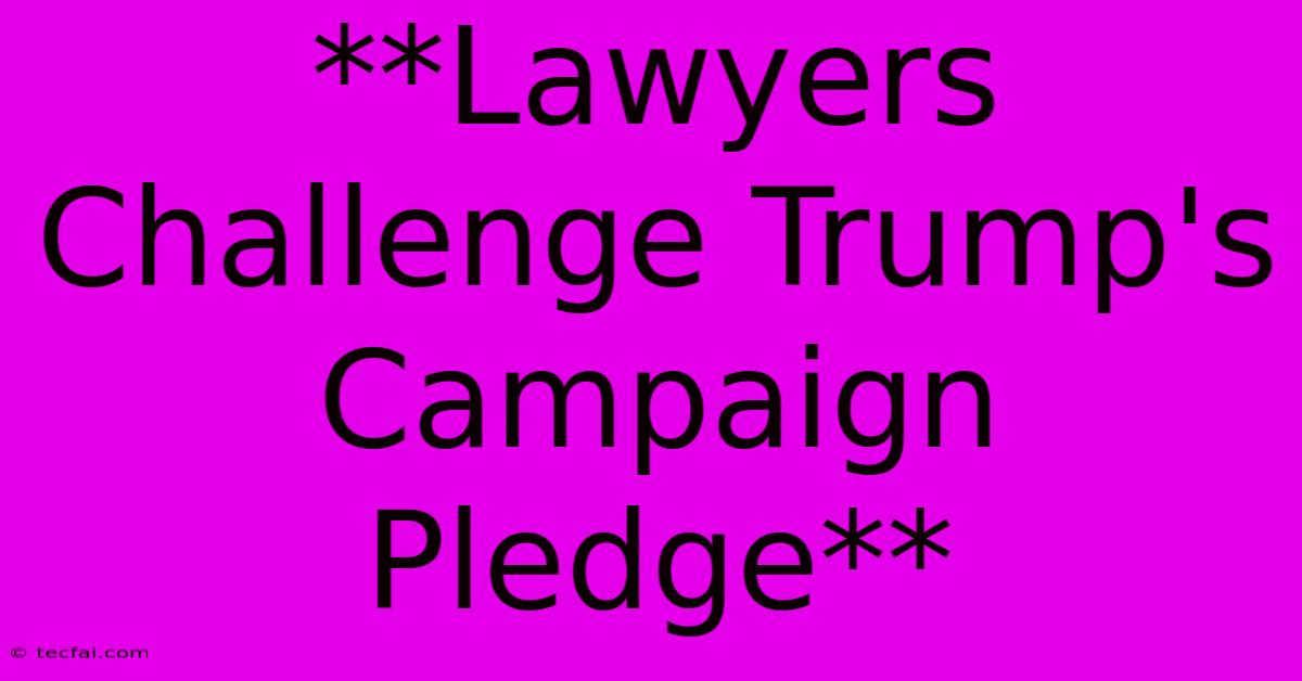 **Lawyers Challenge Trump's Campaign Pledge**