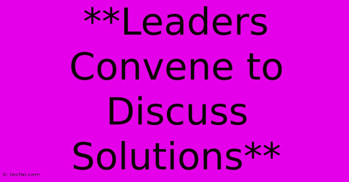 **Leaders Convene To Discuss Solutions**