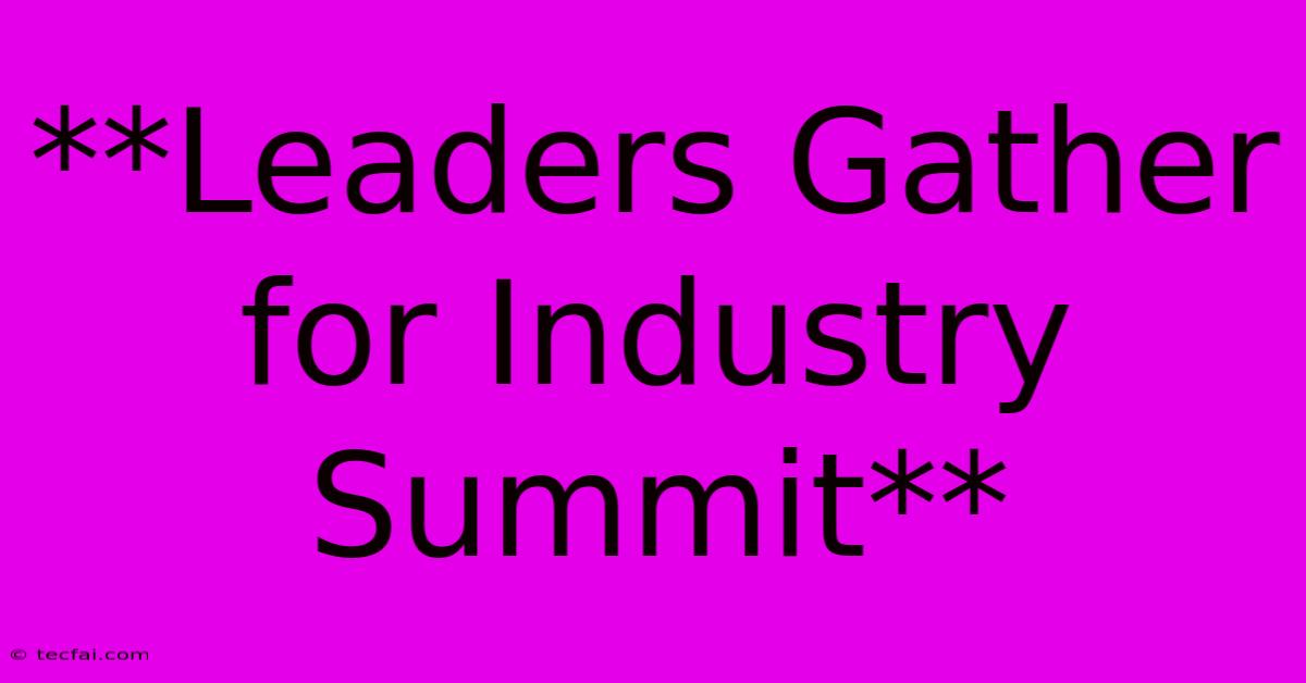 **Leaders Gather For Industry Summit**