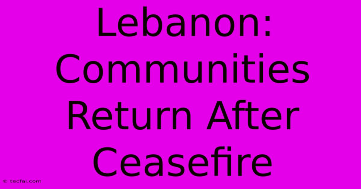 Lebanon: Communities Return After Ceasefire