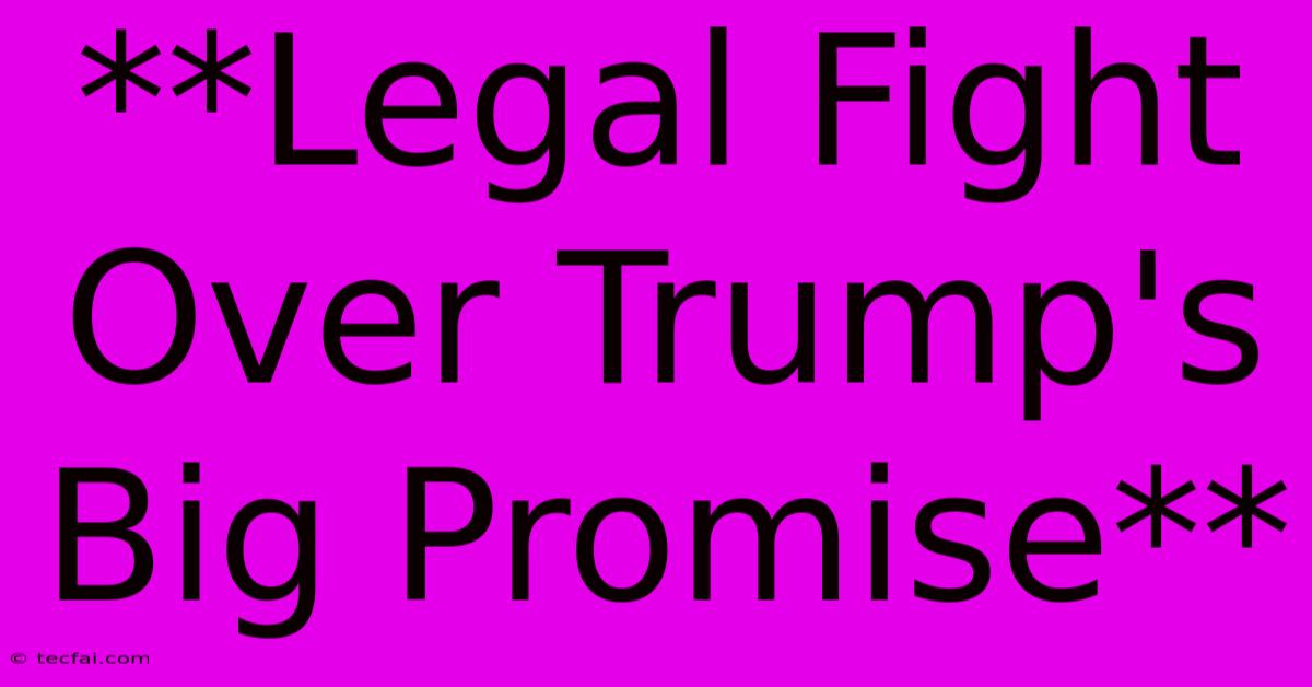 **Legal Fight Over Trump's Big Promise**