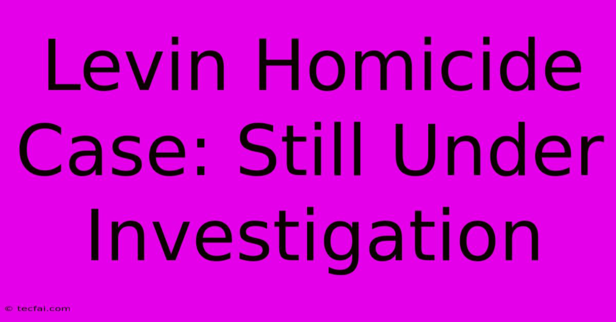 Levin Homicide Case: Still Under Investigation