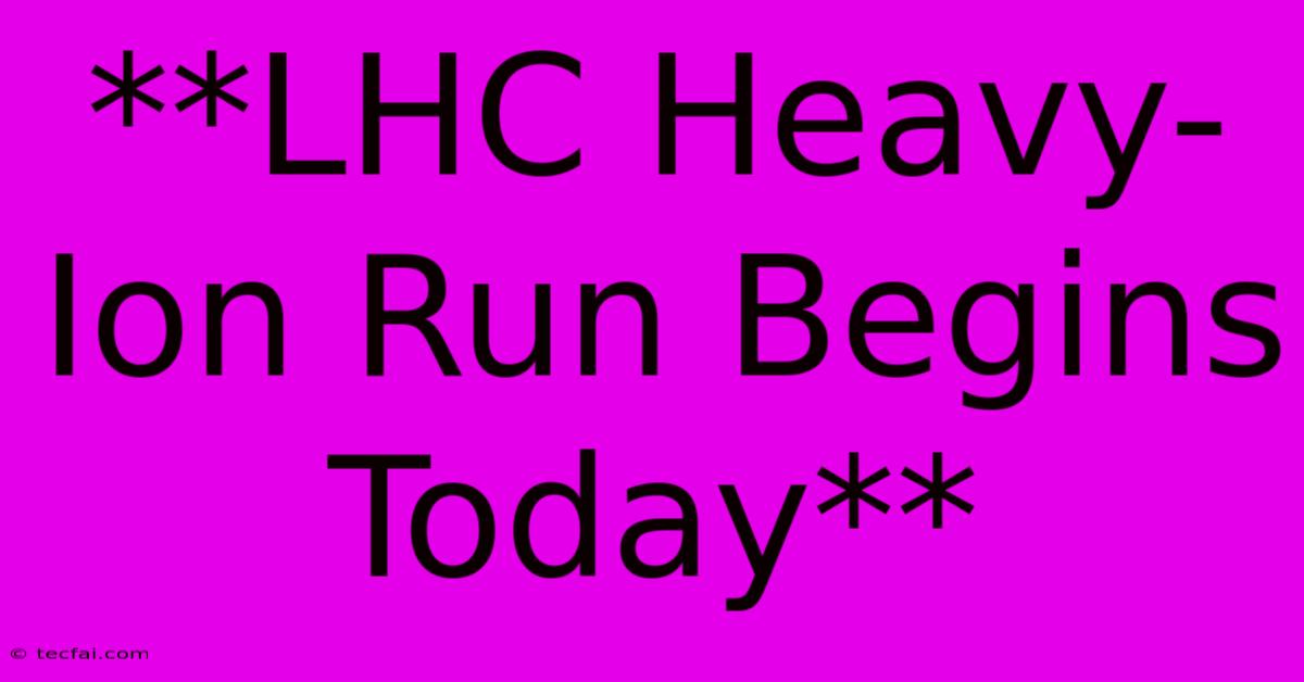 **LHC Heavy-Ion Run Begins Today** 