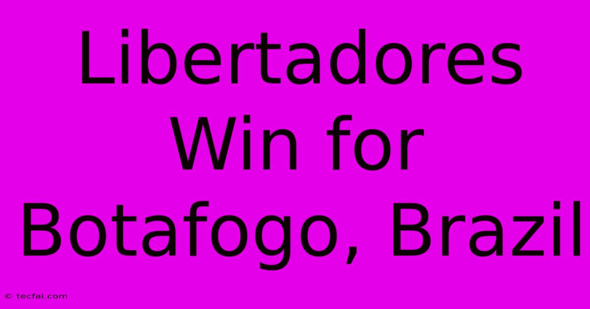 Libertadores Win For Botafogo, Brazil