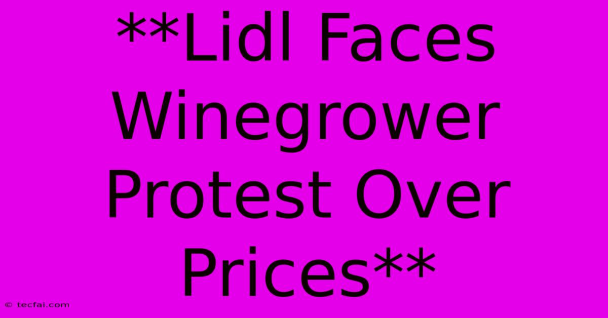 **Lidl Faces Winegrower Protest Over Prices** 