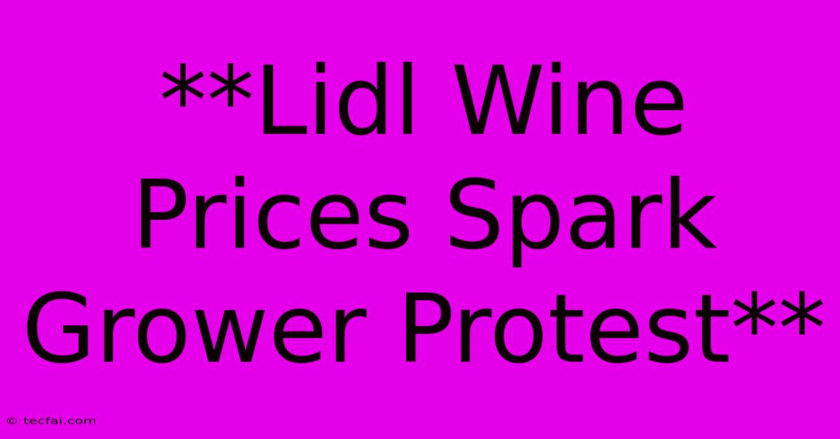 **Lidl Wine Prices Spark Grower Protest**